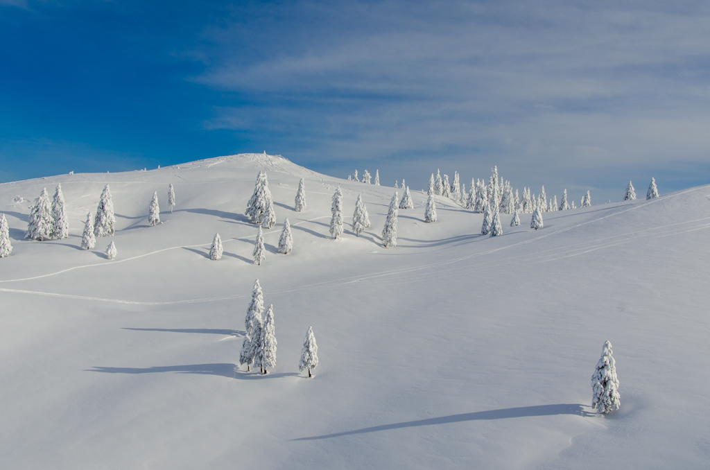 Velika Planina
